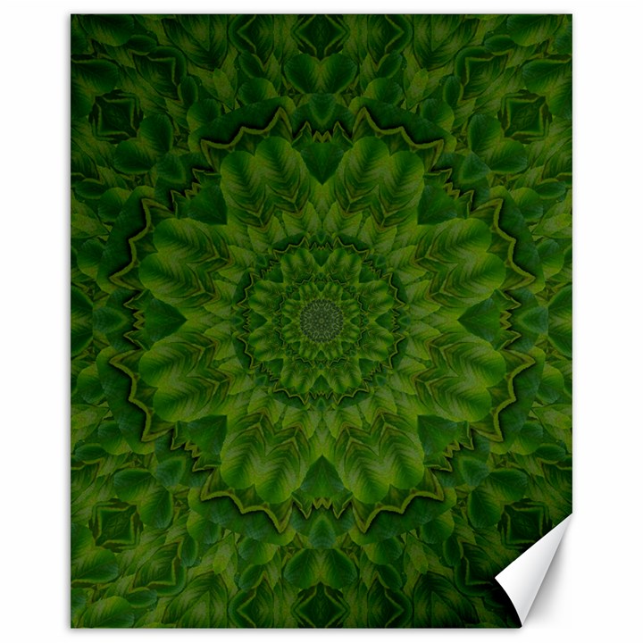 Fauna Nature Ornate Leaf Canvas 16  x 20 