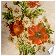 Poppy 2507631 960 720 Canvas 16  X 16  by vintage2030