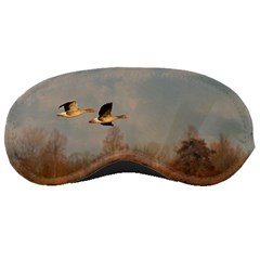 Goose 4002044 960 720 Sleeping Mask by vintage2030