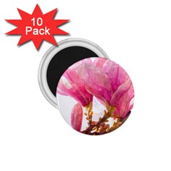 Magnolia Roze Aquarel Watercolor 1 75  Magnets (10 Pack)  by picsaspassion