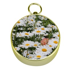 Champs De Marguerites Gold Compasses by kcreatif