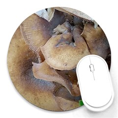 Close Up Mushroom Abstract Round Mousepads by Fractalsandkaleidoscopes