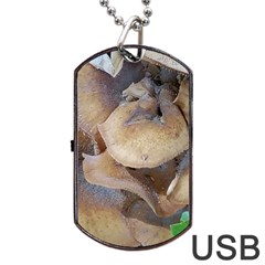 Close Up Mushroom Abstract Dog Tag Usb Flash (one Side) by Fractalsandkaleidoscopes