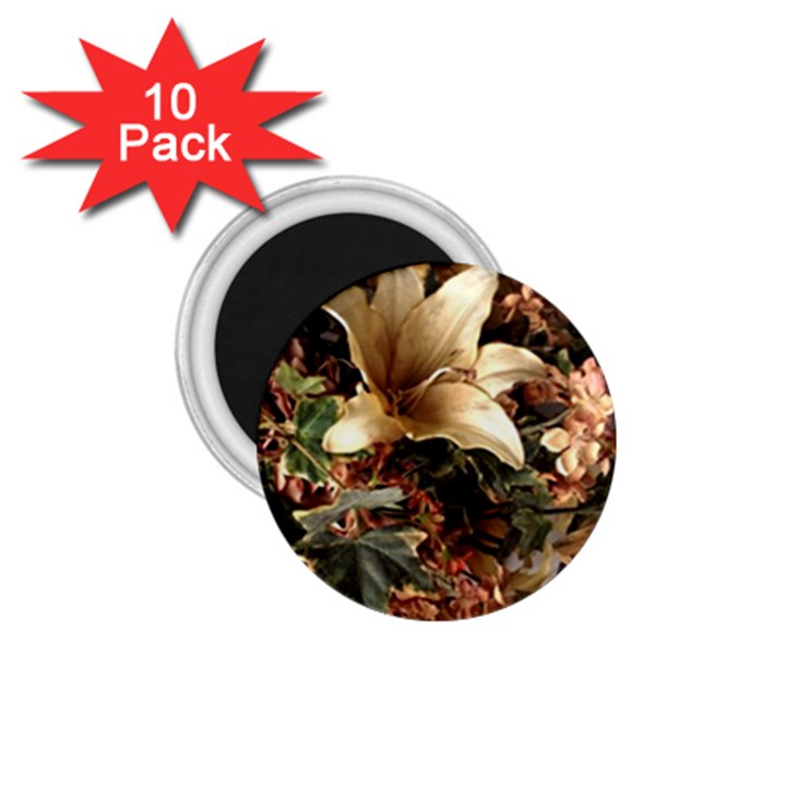 Lilies 1 4 1.75  Magnets (10 pack) 