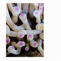 Sea Anemone Large Garden Flag (two Sides) by TheLazyPineapple