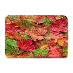 Spring Leafs Plate Mats by Sparkle