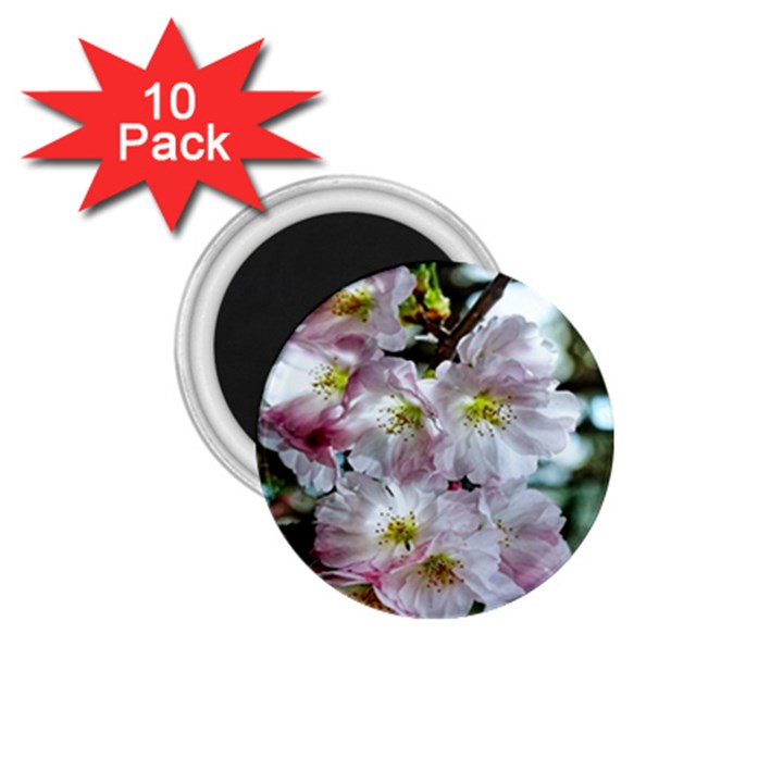 Pinkfloral 1.75  Magnets (10 pack) 