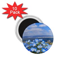 Floral Nature 1 75  Magnets (10 Pack)  by Sparkle