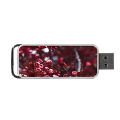 Red Floral Portable Usb Flash (two Sides) by Sparkle