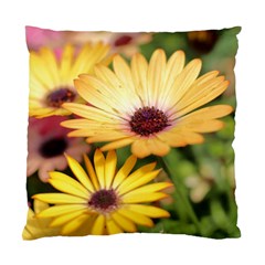 Yellow Flowers Standard Cushion Case (two Sides) by Sparkle