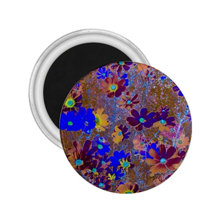 Cosmos Flowers Brown Blue 2.25  Magnets