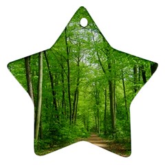 In The Forest The Fullness Of Spring, Green, Ornament (star) by MartinsMysteriousPhotographerShop