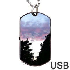 Colorful Overcast, Pink,violet,gray,black Dog Tag Usb Flash (one Side) by MartinsMysteriousPhotographerShop