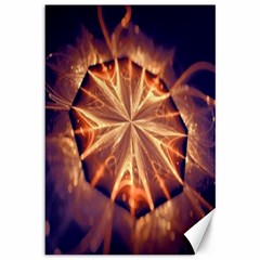 Sun Fractal Canvas 12  X 18  by Sparkle