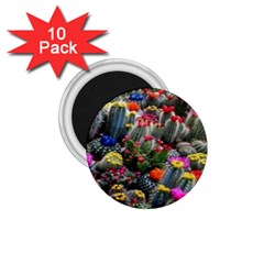 Cactus 1 75  Magnets (10 Pack)  by Sparkle