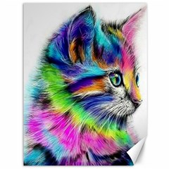 Rainbowcat Canvas 36  X 48  by Sparkle