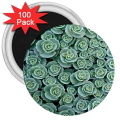 Realflowers 3  Magnets (100 Pack) by Sparkle