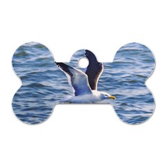 Seagull Flying Over Sea, Montevideo, Uruguay Dog Tag Bone (one Side) by dflcprintsclothing