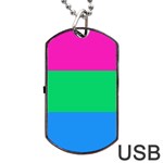 Polysexual Pride Flag LGBTQ Dog Tag USB Flash (Two Sides) Front