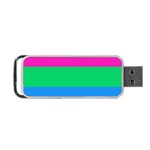 Polysexual Pride Flag LGBTQ Portable USB Flash (Two Sides) Front