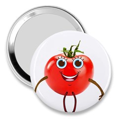 Tomato 3  Handbag Mirror by smilebuddesigns