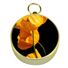 Yellow Poppies Gold Compasses by Audy