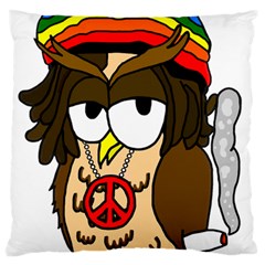  Rainbow Stoner Owl Large Cushion Case (one Side) by IIPhotographyAndDesigns