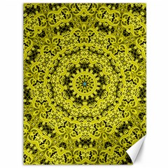 Yellow Kolodo Canvas 36  X 48  by Sparkle