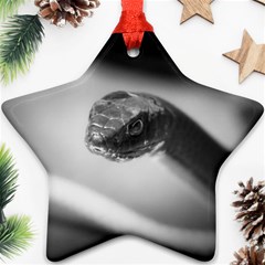 Black And White Snake Ornament (star) by ExtraAwesomeSauce