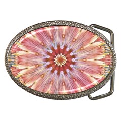 Pink Beauty 1 Belt Buckles by LW41021