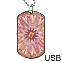 Pink Beauty 1 Dog Tag Usb Flash (one Side) by LW41021