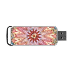 Pink Beauty 1 Portable Usb Flash (one Side) by LW41021