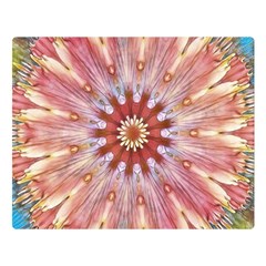 Pink Beauty 1 Double Sided Flano Blanket (large)  by LW41021