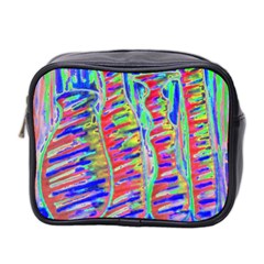 Vibrant-vases Mini Toiletries Bag (two Sides) by LW323