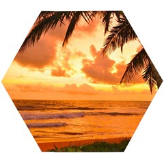 Sunset Beauty Wooden Puzzle Hexagon by LW323