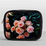 Sweet Roses Mini Toiletries Bag (One Side) Front