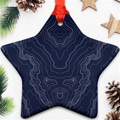 Blue Topography Star Ornament (two Sides) by goljakoff