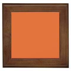 Coral Rose Framed Tile by FabChoice