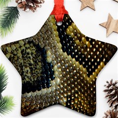 Leatherette Snake 2 Ornament (star) by skindeep