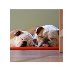 2 Sleeping Bulldogs Small Satin Scarf (square) by SomethingForEveryone