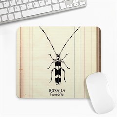 Banded Alder Borer  Large Mousepads by Limerence