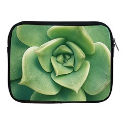 Echeveria Imbricata Closeup Photo Apple Ipad 2/3/4 Zipper Cases by dflcprintsclothing