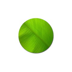 Banana Leaf Golf Ball Marker (10 Pack) by artworkshop