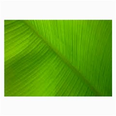 Banana Leaf Large Glasses Cloth by artworkshop