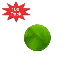 Banana Leaf 1  Mini Magnets (100 Pack)  by artworkshop