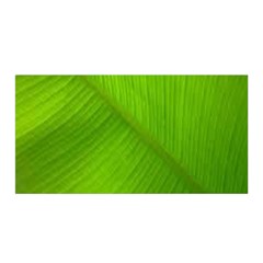 Banana Leaf Satin Wrap 35  X 70  by artworkshop