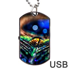 Peacock Feather Drop Dog Tag Usb Flash (two Sides) by artworkshop