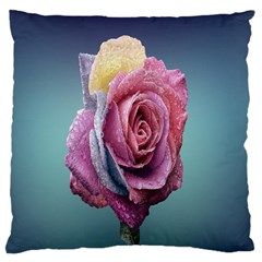 Rose Flower Love Romance Beautiful Large Cushion Case (one Side) by artworkshop