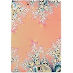 Peach Spring Frost On Flowers Fractal A4 Clipboard Back