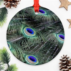 Plumage Peacock Feather Colorful Round Ornament (two Sides) by Sapixe